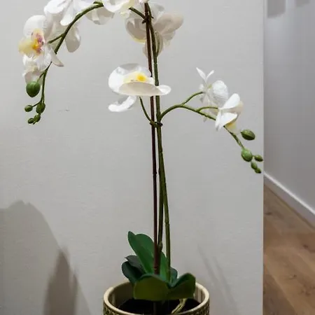 Appartamento T2 Casa Da Alegria *