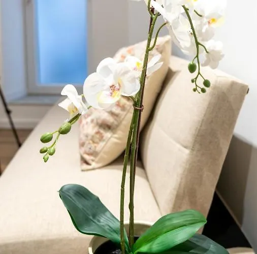 T2 Casa Da Alegria 公寓