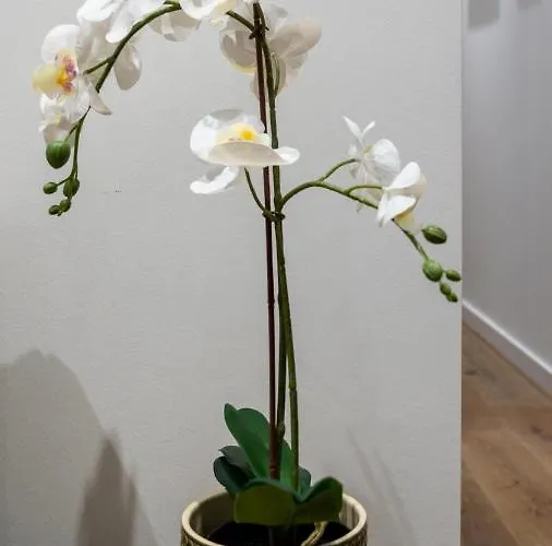 아파트 T2 Casa Da Alegria *